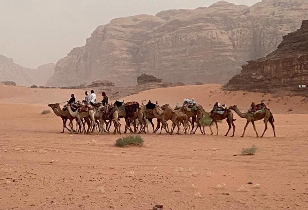 Rum Trail Wadi Rum Exterior foto
