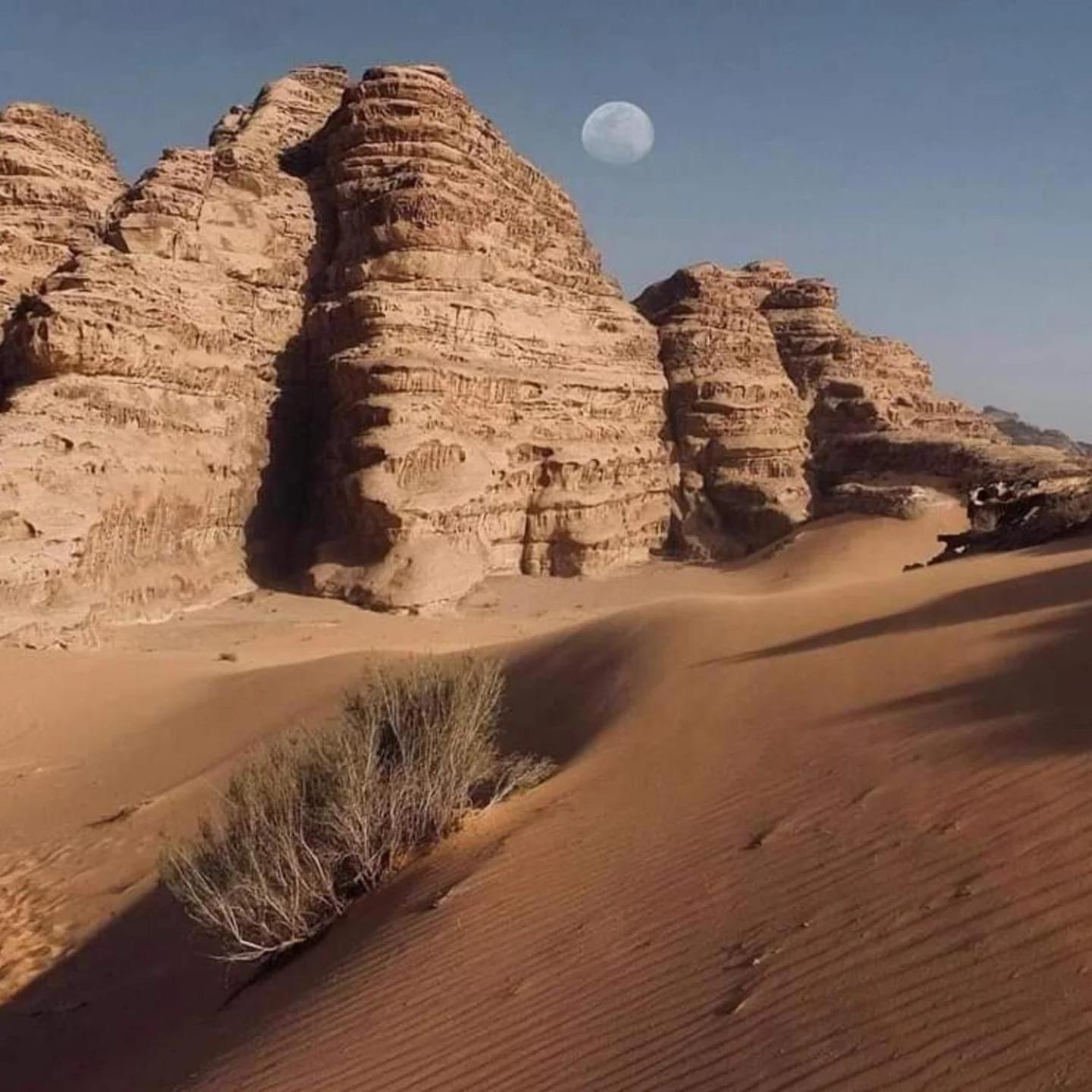 Rum Trail Wadi Rum Exterior foto